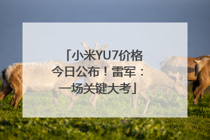 小米YU7价格今日公布！雷军：一场关键大考